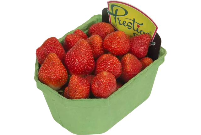 Aardbeien Prestige 500gr